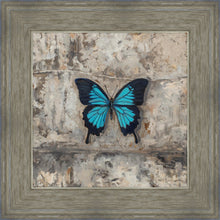 Load image into Gallery viewer, Become Procilla Beauty
