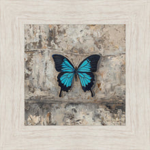 Load image into Gallery viewer, Become Procilla Beauty
