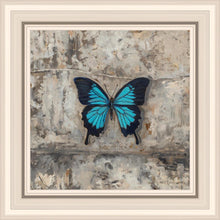Load image into Gallery viewer, Become Procilla Beauty
