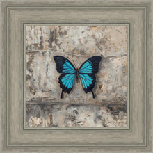 Load image into Gallery viewer, Become Procilla Beauty
