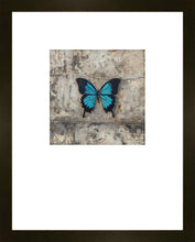 Load image into Gallery viewer, Become Procilla Beauty Faux Mat
