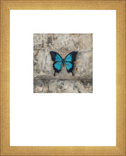 Load image into Gallery viewer, Become Procilla Beauty Faux Mat
