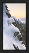 Load image into Gallery viewer, High Trail at Sunset
