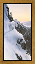 Load image into Gallery viewer, High Trail at Sunset

