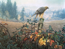 Load image into Gallery viewer, The Raptor's Watch
