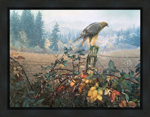 Load image into Gallery viewer, The Raptor's Watch

