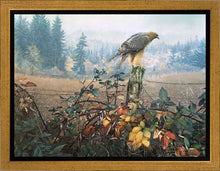 Load image into Gallery viewer, The Raptor's Watch
