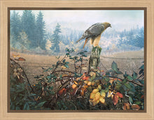 Load image into Gallery viewer, The Raptor's Watch
