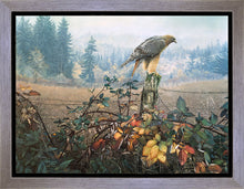 Load image into Gallery viewer, The Raptor's Watch
