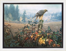Load image into Gallery viewer, The Raptor's Watch
