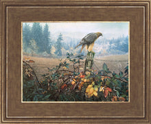 Load image into Gallery viewer, The Raptor's Watch

