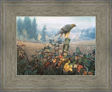 Load image into Gallery viewer, The Raptor's Watch
