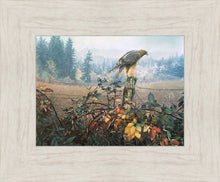 Load image into Gallery viewer, The Raptor's Watch

