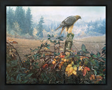 Load image into Gallery viewer, The Raptor's Watch
