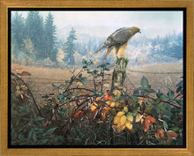 Load image into Gallery viewer, The Raptor's Watch
