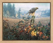Load image into Gallery viewer, The Raptor's Watch
