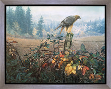 Load image into Gallery viewer, The Raptor's Watch
