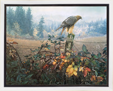 Load image into Gallery viewer, The Raptor's Watch
