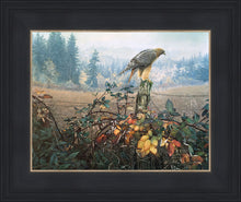 Load image into Gallery viewer, The Raptor's Watch
