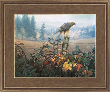 Load image into Gallery viewer, The Raptor's Watch
