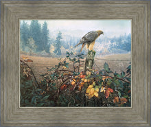 Load image into Gallery viewer, The Raptor's Watch
