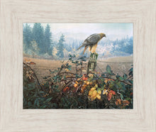 Load image into Gallery viewer, The Raptor's Watch
