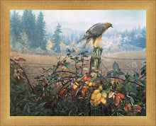 Load image into Gallery viewer, The Raptor's Watch
