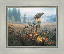 Load image into Gallery viewer, The Raptor's Watch

