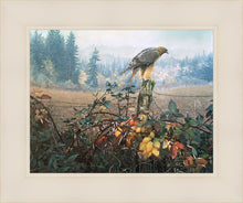 Load image into Gallery viewer, The Raptor's Watch
