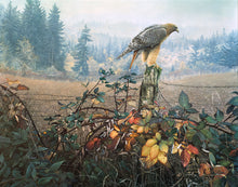 Load image into Gallery viewer, The Raptor's Watch
