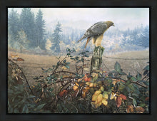 Load image into Gallery viewer, The Raptor's Watch

