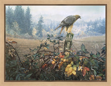 Load image into Gallery viewer, The Raptor's Watch

