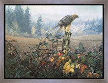 Load image into Gallery viewer, The Raptor's Watch
