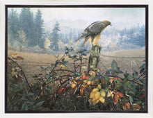 Load image into Gallery viewer, The Raptor's Watch
