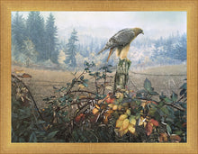 Load image into Gallery viewer, The Raptor's Watch
