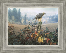Load image into Gallery viewer, The Raptor's Watch
