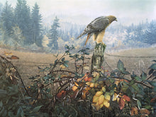Load image into Gallery viewer, The Raptor's Watch
