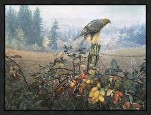 Load image into Gallery viewer, The Raptor's Watch
