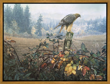Load image into Gallery viewer, The Raptor's Watch
