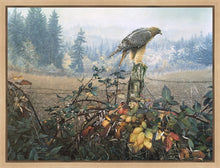 Load image into Gallery viewer, The Raptor's Watch
