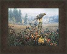 Load image into Gallery viewer, The Raptor's Watch

