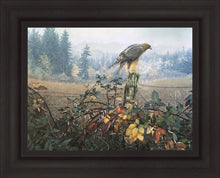 Load image into Gallery viewer, The Raptor's Watch
