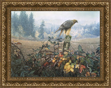 Load image into Gallery viewer, The Raptor's Watch
