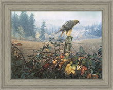 Load image into Gallery viewer, The Raptor's Watch
