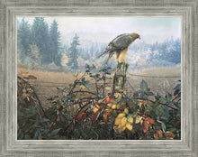 Load image into Gallery viewer, The Raptor's Watch
