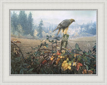 Load image into Gallery viewer, The Raptor's Watch
