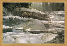 Load image into Gallery viewer, Uzumati - Great Bear of Yosemite

