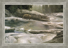 Load image into Gallery viewer, Uzumati - Great Bear of Yosemite
