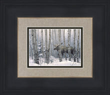 Load image into Gallery viewer, A Walk in the Woods

