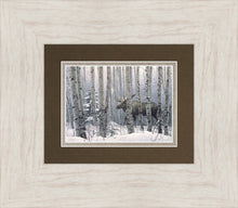 Load image into Gallery viewer, A Walk in the Woods
